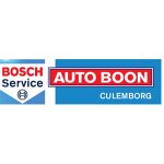 auto-boon-bosch-car-service