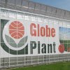 Globe Plant BV