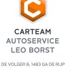 Leo Borst, Carteam Autoservice