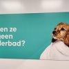 Dogwash, Pets Place De Centrale, Leeuwarden