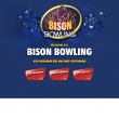 bison-bowling