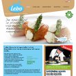 lebo-foodservice