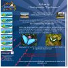 vlinderparadijs-papiliorama