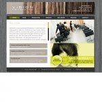 vision-hairstyling