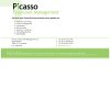 picasso-financieel-management