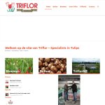 triflor-holding