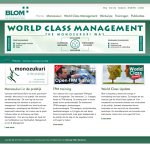 blom-consultancy