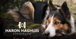 haron-haghuis-hondenfotografie
