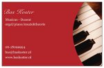 bas-koster-musicus