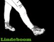 lindeboom-wandelcoach