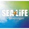 sea-life-scheveningen