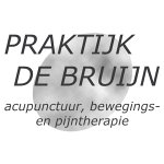 acupunctuurnijmegen-nl-praktijk-de-bruijn