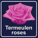 termeulen-roses