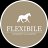 flexibile-osteopathie-voor-paarden