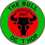 dart-team-the-bull
